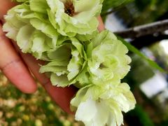 -新天地活力PARK