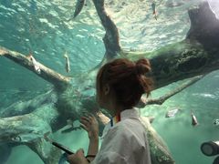 -上海海洋水族馆-停车场