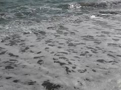 -玫瑰海岸文化旅游度假区