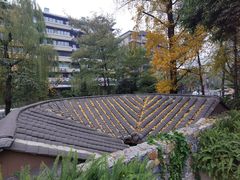 -成都市活水公园