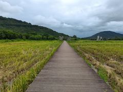 -艾米稻香小镇