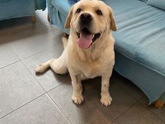 -爱妮康宠物医院·干细胞免疫细胞·肿瘤·心脏(张江店)