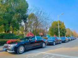 -蚂蚁婚车