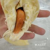 快50出肉率的榴莲被我遇到了