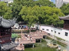 -绿波廊(豫园店)