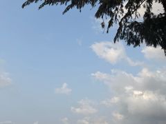 -艺厨风尚餐厅 · 桔钓沙莱华度假酒店