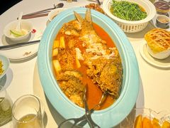 -阿五黄河大鲤鱼(英协路店)