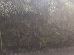 -韩城古城