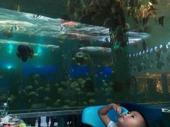 -瑞德姆美人鱼海底演艺主题餐厅(亚龙湾店)