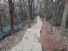 -九曜山