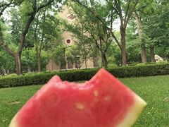 -山东大学(趵突泉校区)