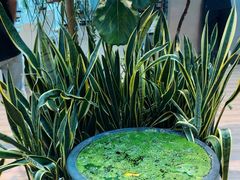 -813芭依珊 BAESAn(皇冠十畝地店)