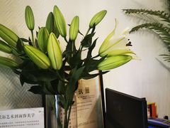 -Dragonfly悠庭·按摩Spa(静安嘉里中心店)