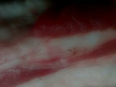 -金锣冷鲜肉胜保水产(希望东路店)