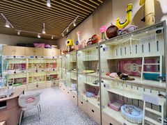 -momokira米努特·德文卷毛猫·棉花面纱犬