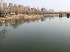 -前关湿地公园