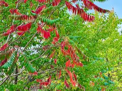 -长春世界雕塑园冰雪艺术天地