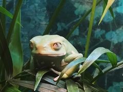 -上海大自然野生昆虫馆