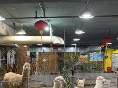 -上海大自然野生昆虫馆(东方明珠·爬宠昆虫探索中心)