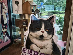 -哆趣宠物医院·眼科·内镜·急重症转诊中心(上海店)