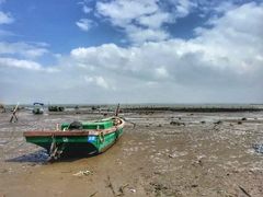 -东寨港红树林旅游区