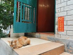 -无牌咖啡&酒馆