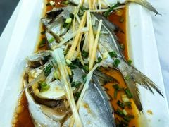 -威海渔村(黄兴路店)