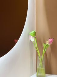 -Lily纤美·科技减脂中心