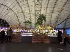 -辽宁古生物博物馆