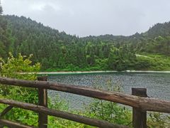 -武陵山森林公园