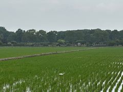 -嘉北郊野公园