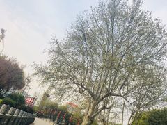 -东水关遗址公园