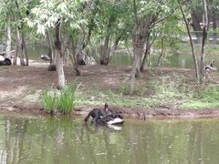 -长白岛森林公园