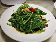 地瓜叶-佬肥猫(国华广场店)