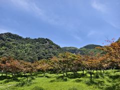 -五泄景区