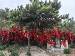 -泰山风景名胜区