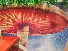 -菌之家·专业纯野生菌火锅·特色炒菌
