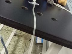 -成都民大动物医院
