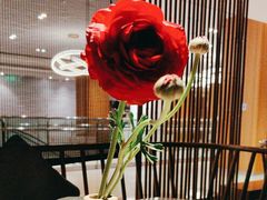 -淮扬府·游园京梦(北京SKP店)