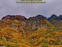 -关门山森林公园