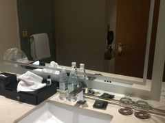 -成都明宇丽雅饭店