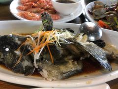 -南海渔家•海鲜•正宗海南菜(海棠湾店)