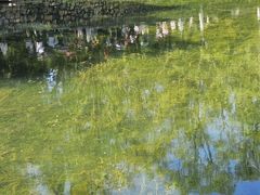 -韶山毛泽东同志故居