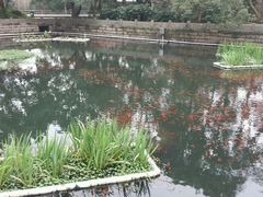 android_upload_pic-普陀山风景名胜区-法雨禅寺