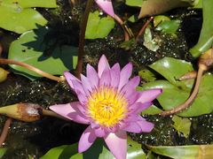 -三亚南山文化旅游区