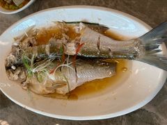 清蒸白丝鱼-状元楼(金溪路店)