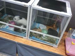 -狗道宠物(常熟印象城店)