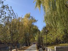 -元大都城垣遗址公园