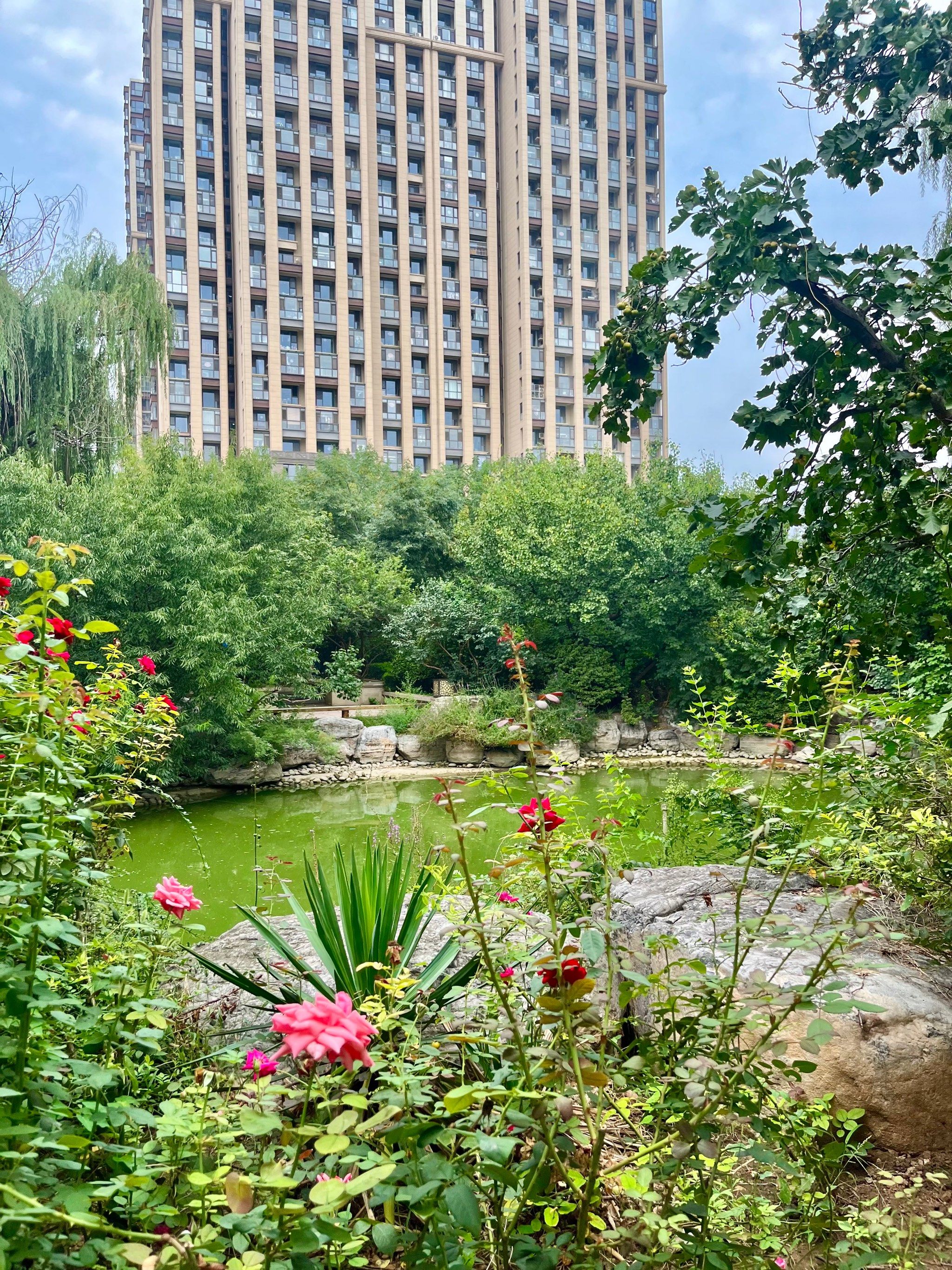 石家庄的别墅到底是谁在住啊!