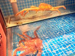 -隐炉和牛烧肉店(群力店)